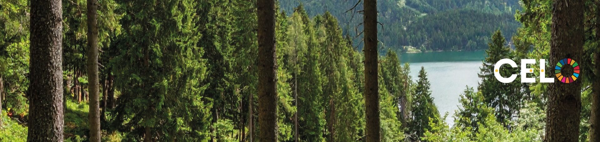 Banner_ESG-Environmental_desktop
