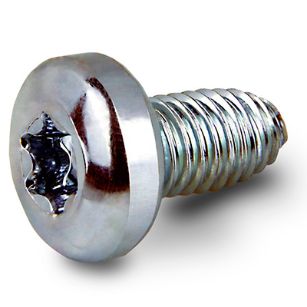 209-fastite2000-screw-pan-head-torx-ft85t