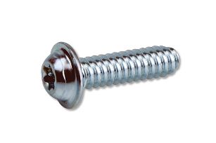 792-remform2f-screw-pan-head-flange-torx-plus-autosert-f287pa