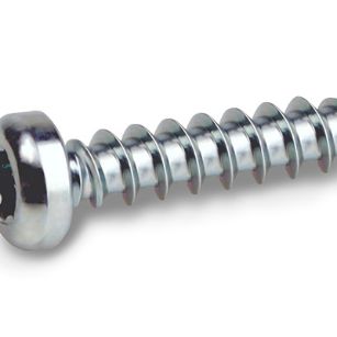 796-remform2hs-screw-pan-head-torx-hs81pa