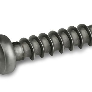 793-remform2hs-screw-pan-head-torx-inoxa2-hsx81pa