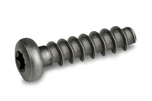 542-remform-screw-pan-head-torx-stainless-steel-rfx81t