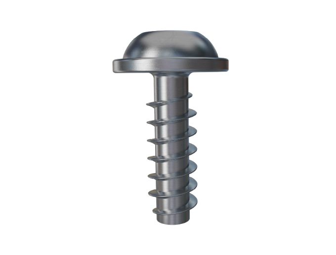 Tornillos para plástico