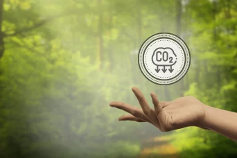 Carbon footprint, offsetting, and CO2 removal registry