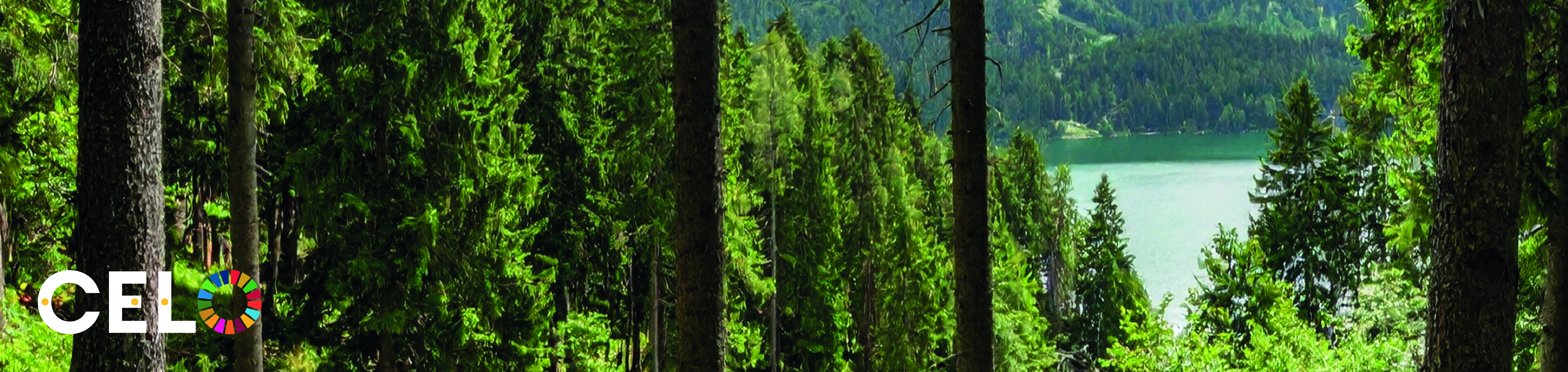 Banner_ESG-Sustainability_desktop