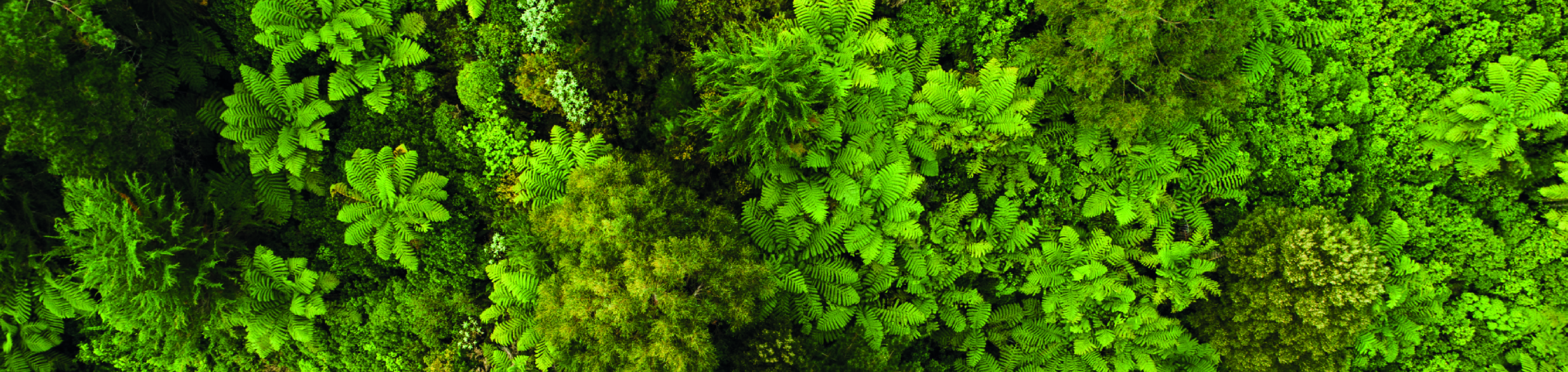 Banner_ESG-Environmental_desktop