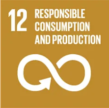 SDG-12