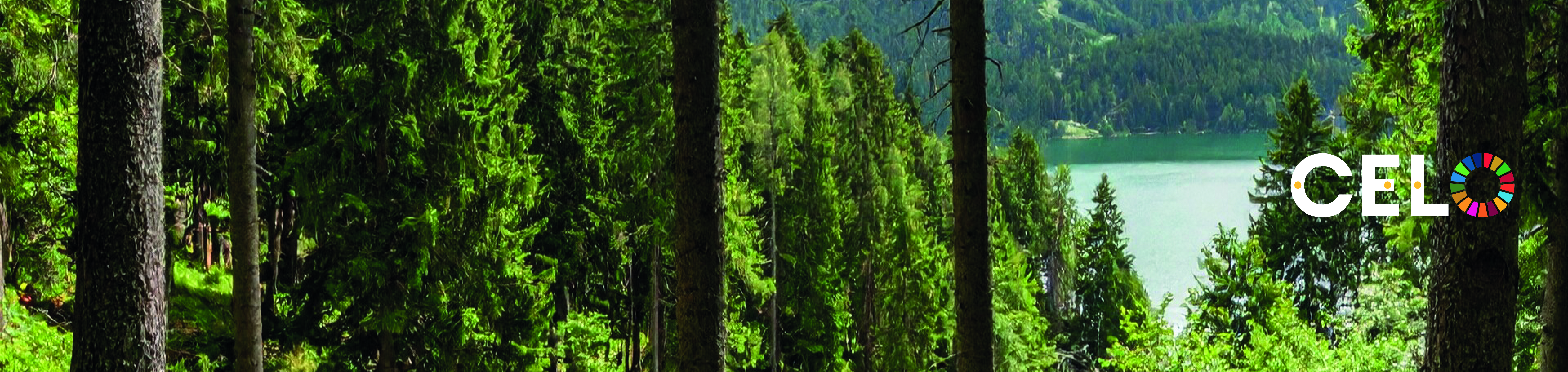 Banner_ESG-Environmental_desktop