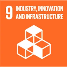 SDG-9