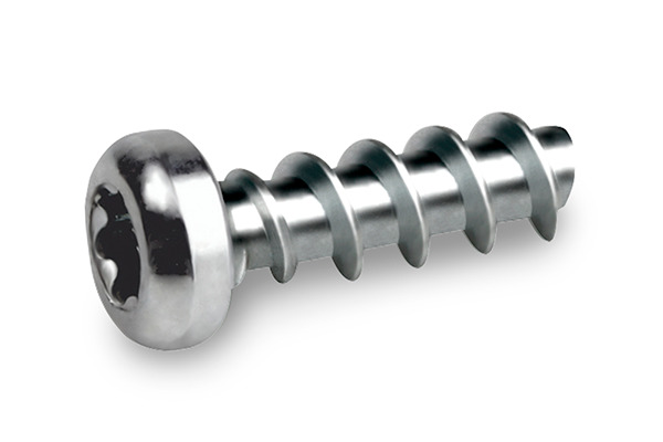 Tornillo CELOspArk® zincado, cabeza alomada, TORX®