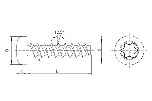 REMFORM® Zinc plated screw, Pan head TORX®, INOX A2